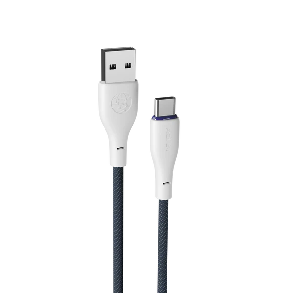RONIN TYPE-C CABLE R2025 1